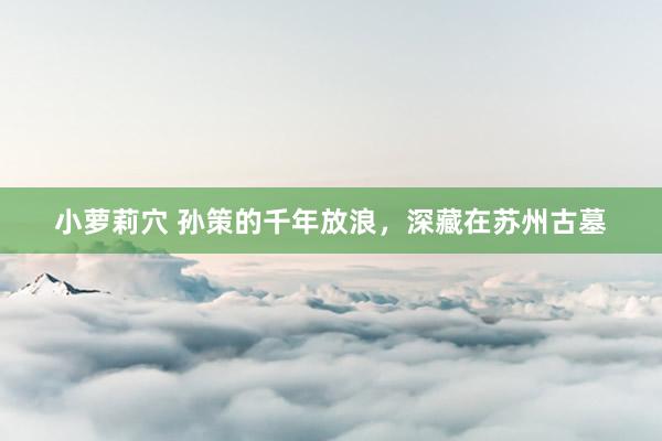 小萝莉穴 孙策的千年放浪，深藏在苏州古墓