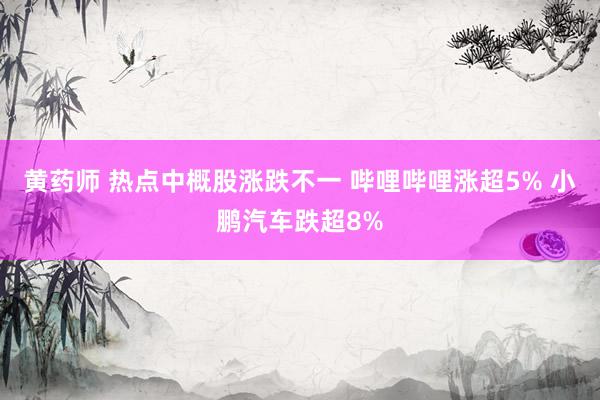 黄药师 热点中概股涨跌不一 哔哩哔哩涨超5% 小鹏汽车跌超8%