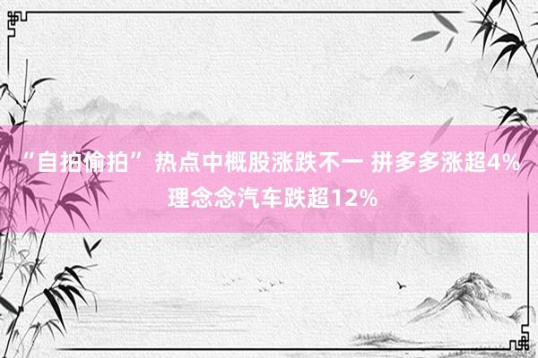 “自拍偷拍” 热点中概股涨跌不一 拼多多涨超4% 理念念汽车跌超12%