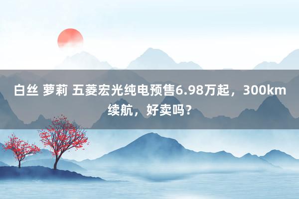 白丝 萝莉 五菱宏光纯电预售6.98万起，300km续航，好卖吗？