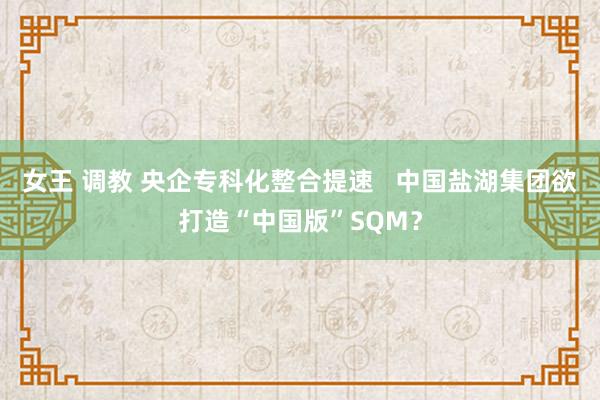 女王 调教 央企专科化整合提速   中国盐湖集团欲打造“中国版”SQM？