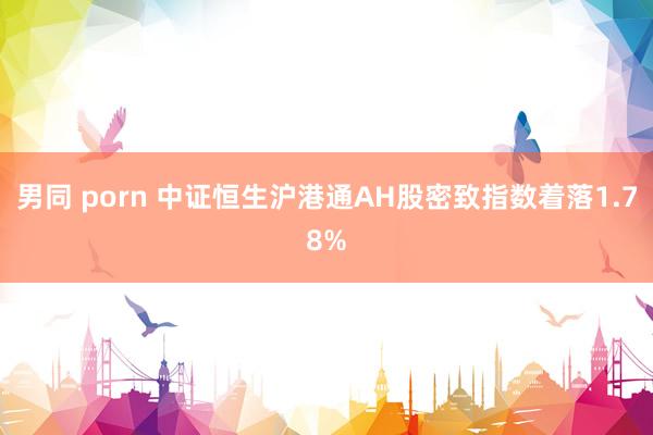 男同 porn 中证恒生沪港通AH股密致指数着落1.78%