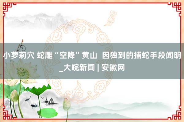 小萝莉穴 蛇雕“空降”黄山  因独到的捕蛇手段闻明_大皖新闻 | 安徽网