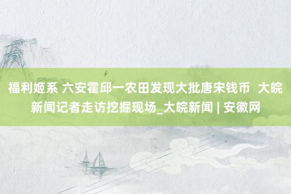 福利姬系 六安霍邱一农田发现大批唐宋钱币  大皖新闻记者走访挖掘现场_大皖新闻 | 安徽网