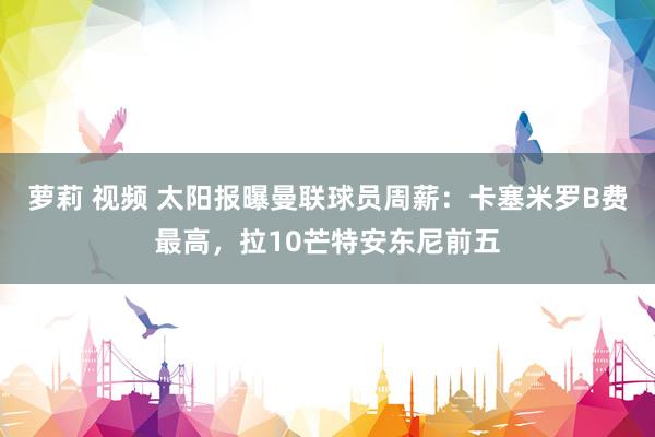 萝莉 视频 太阳报曝曼联球员周薪：卡塞米罗B费最高，拉10芒特安东尼前五