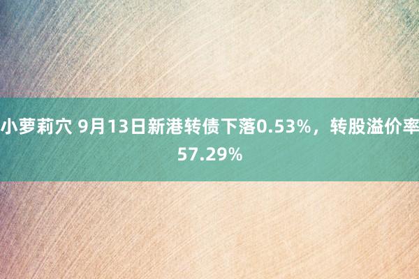 小萝莉穴 9月13日新港转债下落0.53%，转股溢价率57.29%