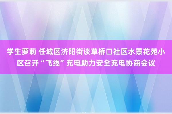 学生萝莉 任城区济阳街谈草桥口社区水景花苑小区召开“飞线”充电助力安全充电协商会议