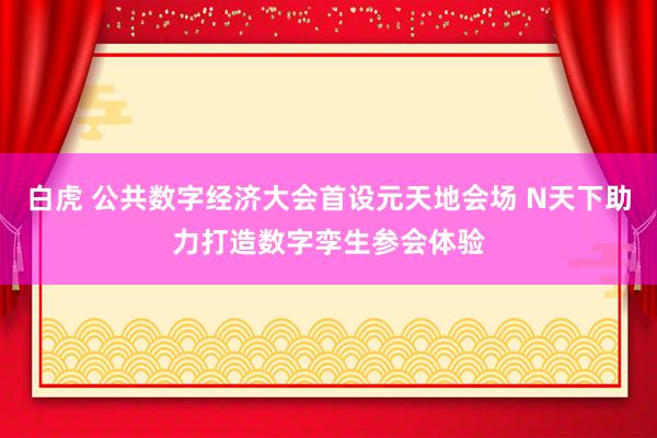 白虎 公共数字经济大会首设元天地会场 N天下助力打造数字孪生参会体验