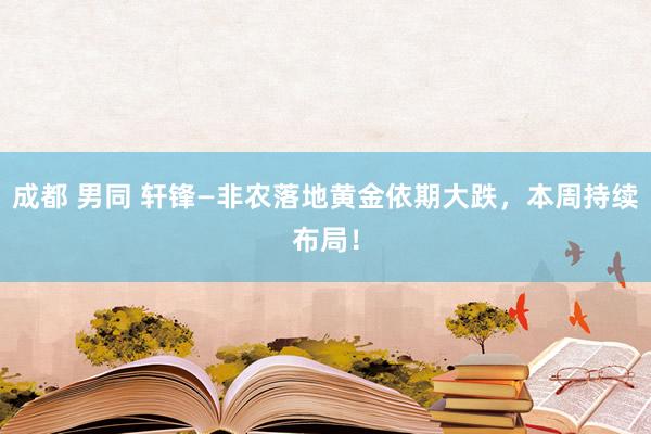 成都 男同 轩锋—非农落地黄金依期大跌，本周持续布局！