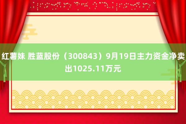 红薯妹 胜蓝股份（300843）9月19日主力资金净卖出1025.11万元