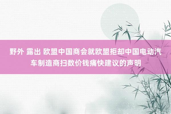 野外 露出 欧盟中国商会就欧盟拒却中国电动汽车制造商扫数价钱痛快建议的声明