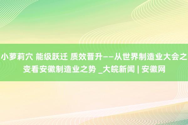 小萝莉穴 能级跃迁 质效晋升——从世界制造业大会之变看安徽制造业之势 _大皖新闻 | 安徽网