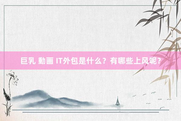 巨乳 動画 IT外包是什么？有哪些上风呢？