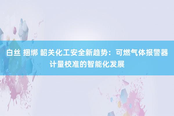 白丝 捆绑 韶关化工安全新趋势：可燃气体报警器计量校准的智能化发展