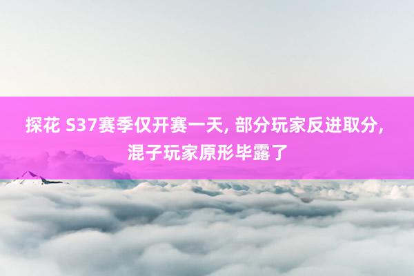 探花 S37赛季仅开赛一天， 部分玩家反进取分， 混子玩家原形毕露了