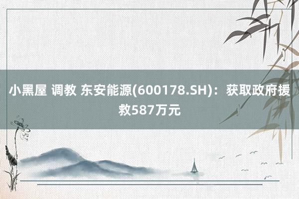 小黑屋 调教 东安能源(600178.SH)：获取政府援救587万元