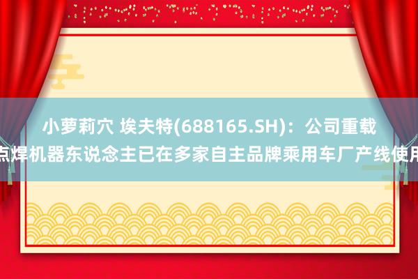 小萝莉穴 埃夫特(688165.SH)：公司重载点焊机器东说念主已在多家自主品牌乘用车厂产线使用