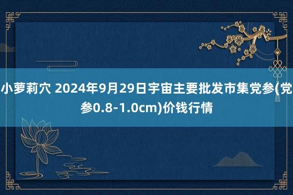小萝莉穴 2024年9月29日宇宙主要批发市集党参(党参0.8-1.0cm)价钱行情