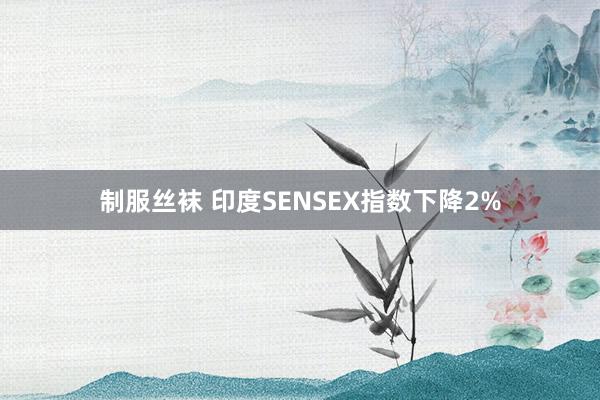 制服丝袜 印度SENSEX指数下降2%