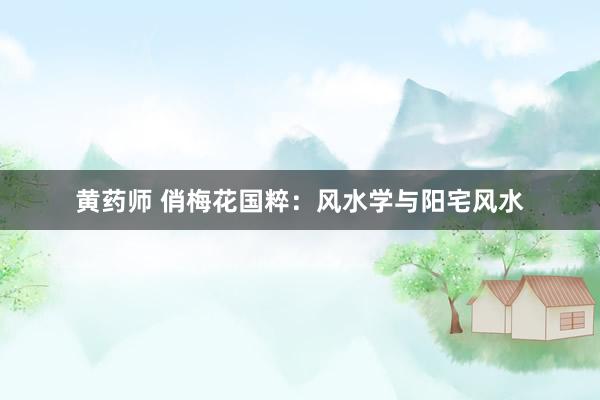 黄药师 俏梅花国粹：风水学与阳宅风水