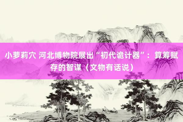 小萝莉穴 河北博物院展出“初代诡计器”：算筹赋存的智谋（文物有话说）