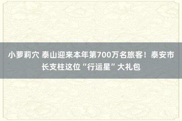 小萝莉穴 泰山迎来本年第700万名旅客！泰安市长支柱这位“行运星”大礼包