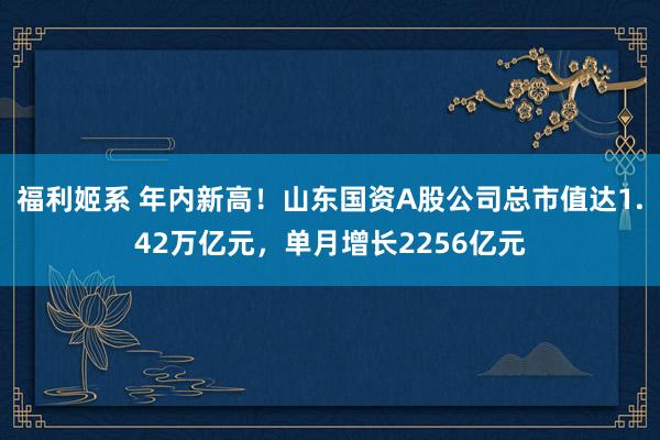 福利姬系 年内新高！山东国资A股公司总市值达1.42万亿元，单月增长2256亿元