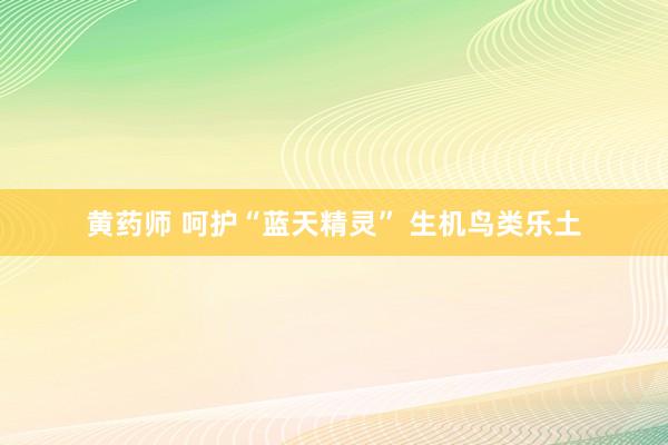 黄药师 呵护“蓝天精灵” 生机鸟类乐土