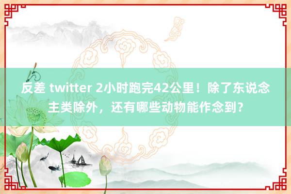反差 twitter 2小时跑完42公里！除了东说念主类除外，还有哪些动物能作念到？