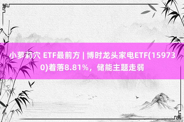 小萝莉穴 ETF最前方 | 博时龙头家电ETF(159730)着落8.81%，储能主题走弱