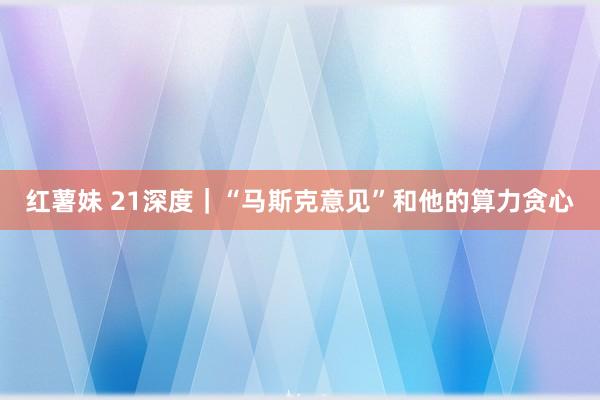 红薯妹 21深度｜“马斯克意见”和他的算力贪心