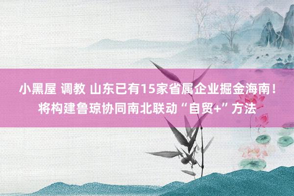 小黑屋 调教 山东已有15家省属企业掘金海南！将构建鲁琼协同南北联动“自贸+”方法