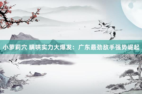 小萝莉穴 瞒哄实力大爆发：广东最劲敌手强势崛起