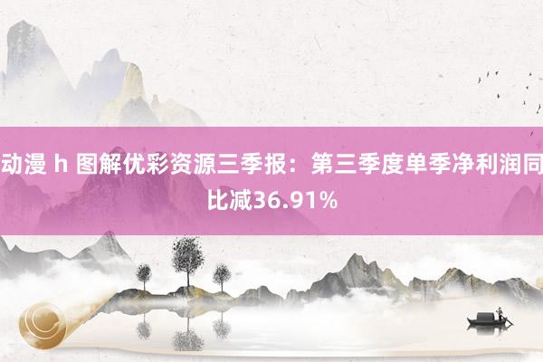 动漫 h 图解优彩资源三季报：第三季度单季净利润同比减36.91%