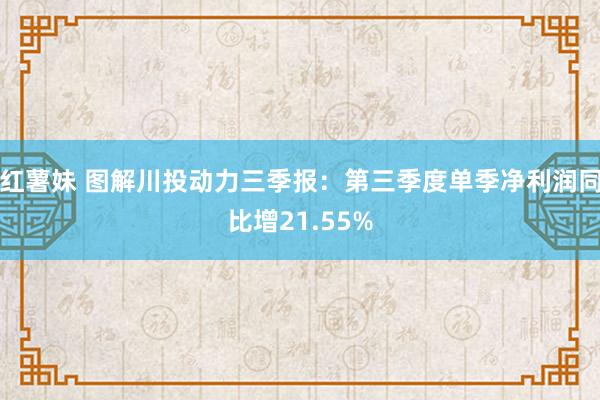 红薯妹 图解川投动力三季报：第三季度单季净利润同比增21.55%