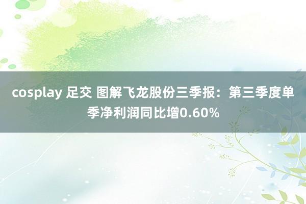 cosplay 足交 图解飞龙股份三季报：第三季度单季净利润同比增0.60%