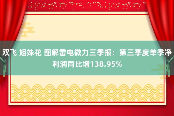 双飞 姐妹花 图解雷电微力三季报：第三季度单季净利润同比增138.95%