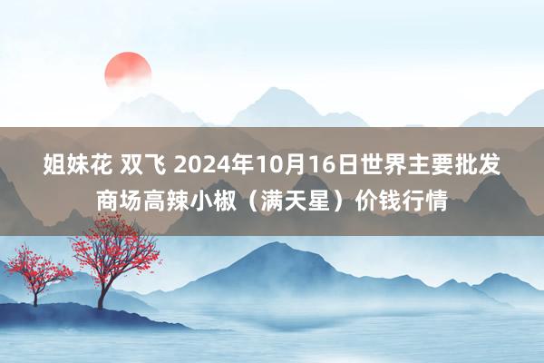 姐妹花 双飞 2024年10月16日世界主要批发商场高辣小椒（满天星）价钱行情