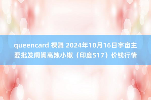 queencard 裸舞 2024年10月16日宇宙主要批发阛阓高辣小椒（印度S17）价钱行情
