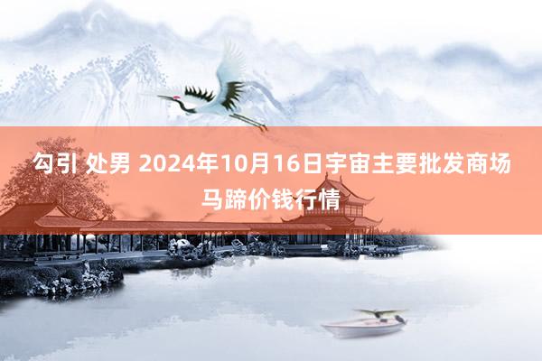 勾引 处男 2024年10月16日宇宙主要批发商场马蹄价钱行情