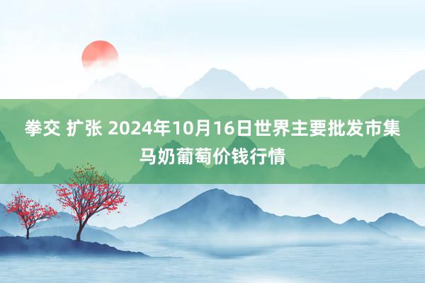 拳交 扩张 2024年10月16日世界主要批发市集马奶葡萄价钱行情