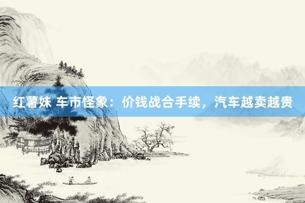 红薯妹 车市怪象：价钱战合手续，汽车越卖越贵