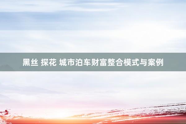 黑丝 探花 城市泊车财富整合模式与案例