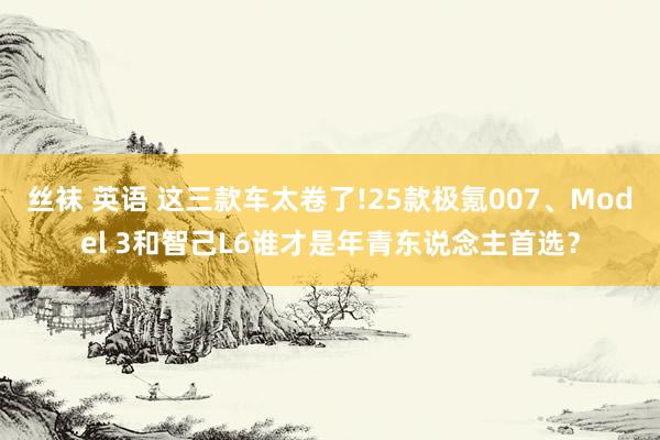 丝袜 英语 这三款车太卷了!25款极氪007、Model 3和智己L6谁才是年青东说念主首选？
