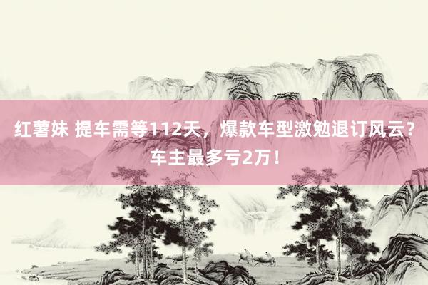 红薯妹 提车需等112天，爆款车型激勉退订风云？车主最多亏2万！