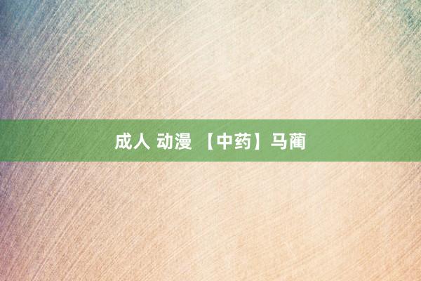 成人 动漫 【中药】马蔺