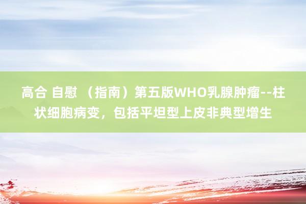 高合 自慰 （指南）第五版WHO乳腺肿瘤--柱状细胞病变，包括平坦型上皮非典型增生