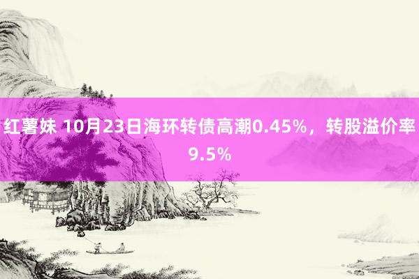 红薯妹 10月23日海环转债高潮0.45%，转股溢价率9.5%