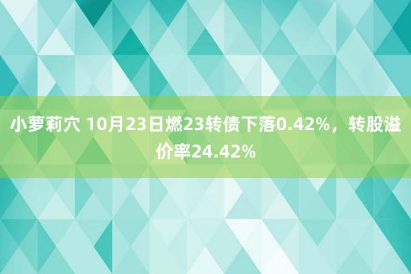 小萝莉穴 10月23日燃23转债下落0.42%，转股溢价率24.42%