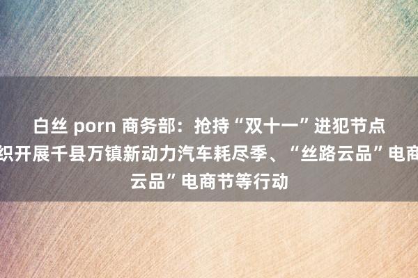 白丝 porn 商务部：抢持“双十一”进犯节点，不竭组织开展千县万镇新动力汽车耗尽季、“丝路云品”电商节等行动